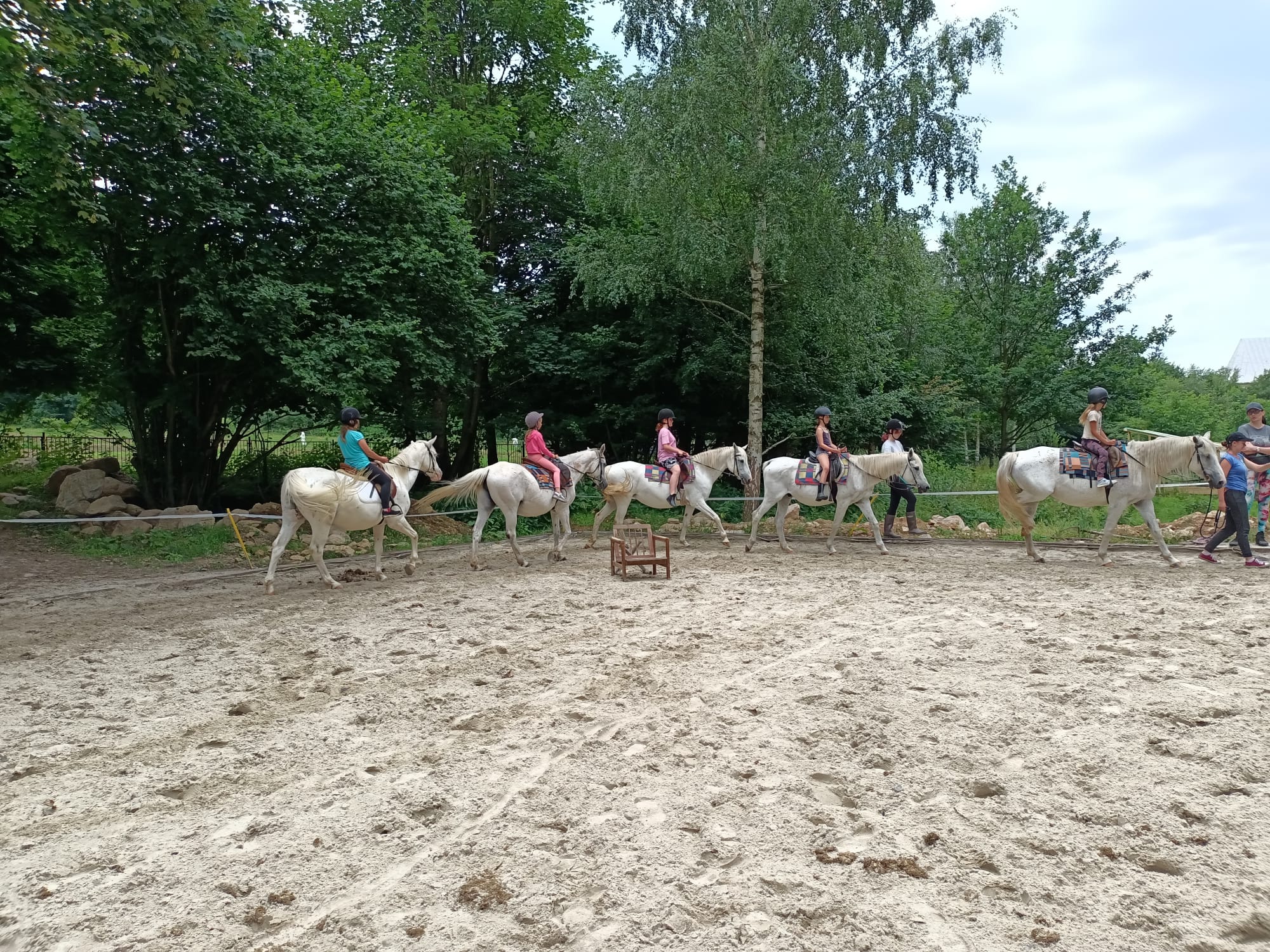 Jeździecko-leśne półkolonie Nowa Wieś 2026 4