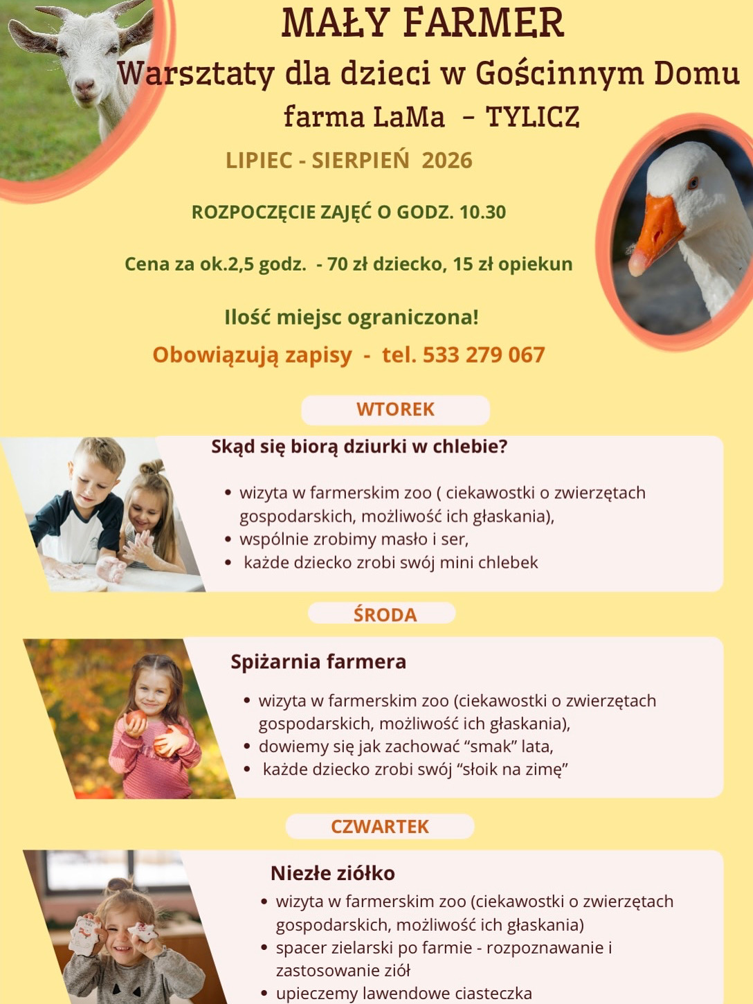 Warsztaty ,,Mały farmer” w Gościnnym Domu w Tyliczu